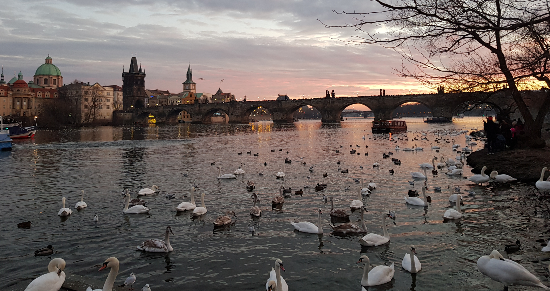 agence de voyage aude, agence voyage narbonne, site de voyage, voyage agence 11, site agence de voyage, voyage tout compris carcassonne,,voyage pour groupe, voyage de groupe aude 11, groupe de voyage, voyages de groupes, site voyage, site de vol pas cher, site vol pas cher, vol multi destination, croisiere, croisière aude, voyage en croisière Costa, sejour tout compris en france, voyage pas cher tout compris aude, vacances all inclusive france pas cher, agence de voyage narbonne, voyage organisé narbonne, envie de voyages Aude, Eva’s voyages, voyage organisé en petit groupe narbonne, organisation voyage groupe, voyage organisé original, voyage sur mesure, voyage sur mesure europe, voyage a la carte dans le monde, voyage monde, voyage europe, voyages france